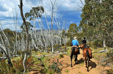 Australia-NSW-Kosciuzsko Park Getaway